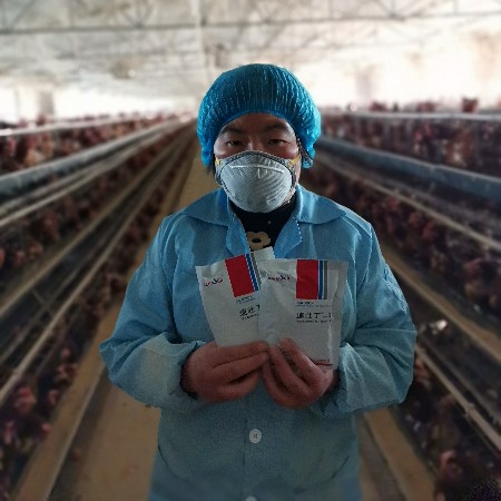 來吧，展示，好評如潮的速壯丁