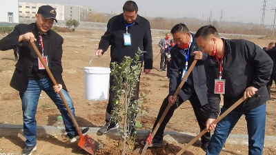 植樹節(jié)，播下希望的種子-上海邦森
