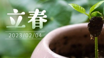 春氣始，萬物生-立春-上海邦森